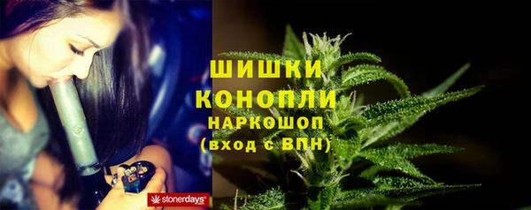 mdpv Каменногорск