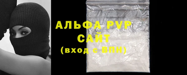 mdpv Каменногорск