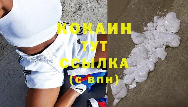 mdpv Каменногорск