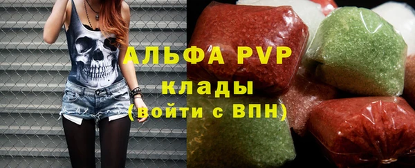 mdpv Каменногорск