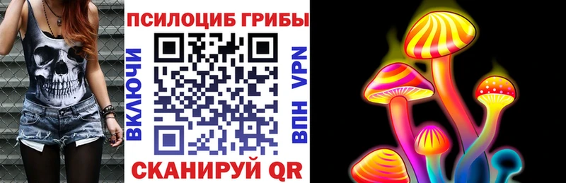 Галлюциногенные грибы Psilocybe  Купить закладки  Киренск 